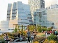 Highline and Chelsea Markets Tour