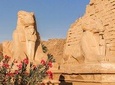 Day Tour to Luxor from Aswan by car 