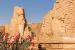 Day Tour to Luxor from Aswan by car 