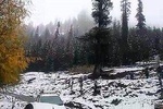 Kullu Manali Tour Package - By Volvo