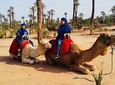 Activities in Marrakech: Camel ride tour
