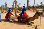 Activities in Marrakech: Camel ride tour