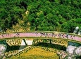 Shared Transfer: From Da Nang To Golden Bridge and Back