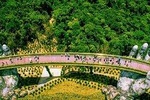 Shared Transfer: From Da Nang To Golden Bridge and Back