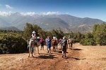 Day trip to explore the Atlas mountains