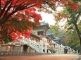 Gyeongju ONE DAY (History + Heritage + Culture + Local food + Craft) 