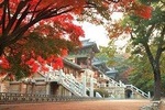 Gyeongju ONE DAY (History + Heritage + Culture + Local food + Craft) 