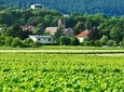 Burgundy 2 Day Private Tour from Paris 
