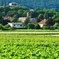 Burgundy 2 Day Private Tour from Paris 