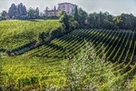 Exclusive Bolgheri from Florence: The Land of the Super Tuscan