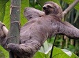Manuel Antonio National Park Guided Tours