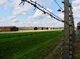 Auschwitz-Birkenau Tour with 4 Travellers