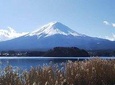 Mt. Fuji day trip with a qualified tour guide accompanied by a private van