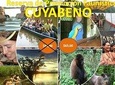 Cuyabeno - Aguas Negras - Primary Forest 4 Days 3 Nights All Inclusive