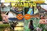 Cuyabeno - Aguas Negras - Primary Forest 4 Days 3 Nights All Inclusive