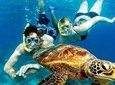 Guided Coral Reef Snorkeling Tour