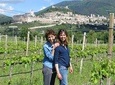 Wine tasting and walk in the Vineyard of Assisi