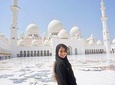 Best of Abu Dhabi City Tour Grand Mosque & Louver Museum & Heritage Village 