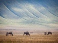 10-Day Kenya & Tanzania 4WD Safari Adventure