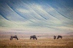 10-Day Kenya & Tanzania 4WD Safari Adventure