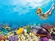 Full-Day Key West Tour and Coral Reef Snorkeling with Open Bar