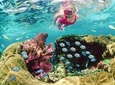 Key Largo Snorkeling Tour - rental mask, fins and vest INCLUDED