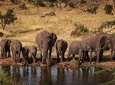2-Days Safari to Tarangire National Park and Ngorongoro crater