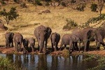 2-Days Safari to Tarangire National Park and Ngorongoro crater
