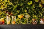 Milan Brera Shopping Tour + Typical Italian "Aperitivo"