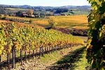 Chianti Wine Tasting, visiting Castellina & Greve, in Tuscany from Florence