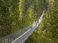 Vancouver Highlights and Capilano Suspension Park Tour - Private Charter (7 hrs)