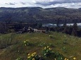 Columbia Gorge Hike, Wine, & Discover