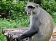 Malawi in 6 days without accommodation