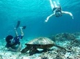 Snorkeling with Turtles on Gili Trawangan
