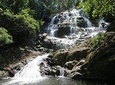 UDZUNGWA NATIONAL PARK AND WATERFALLS - 3 Days 