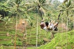 Best Tour of Ubud 