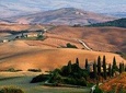 Exclusive Val d'Orcia tour from Florence - A cinematic universe for wine lovers