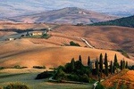Exclusive Val d'Orcia tour from Florence - A cinematic universe for wine lovers