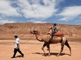 2-Day Private Tour to Turpan from Urumqi: Karez System, JIaohe Ruins and More
