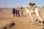 Sentiments of the Sahara, 4 days and 3 nights in the desert of M'Hamid