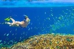 Private 3-Hour Snorkeling Tour in Glass Bottom Boat