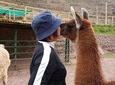 From Cusco - All Inclusive - Southern Valley Tour - Private Experience.
