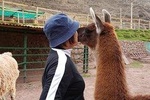 From Cusco - All Inclusive - Southern Valley Tour - Private Experience.