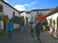 Discover Sherry in Jerez