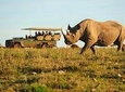 5-Day Garden Route in 4-star Accommodation (BB)
