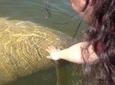 Private or Small Group Motorboat Eco Tour of the Everglades
