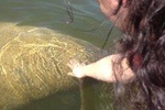 Private or Small Group Motorboat Eco Tour of the Everglades
