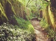 Private Day Walk: "Sintra, Kingdom of Love"