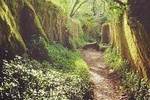 Private Day Walk: "Sintra, Kingdom of Love"