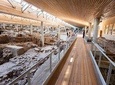 Archaeological bus tour to Akrotiri excavations & Red beach